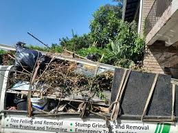 Best Shed Removal  in Frankston, TX